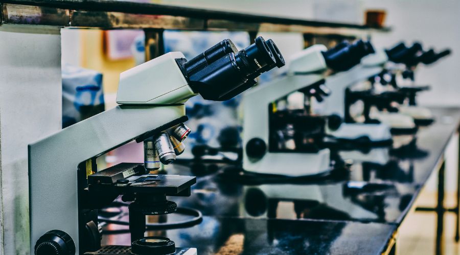 Jak wyglądają profesjonalne szkolenia z obsługi urządzeń laboratoryjnych? - Regularne szkolenia z obsługi urządzeń laboratoryjnych są kluczowe dla bezpieczeństwa pracy i jakości wyników. Dzięki połączeniu części teoretycznej i praktycznych warsztatów personel zdobywa umiejętności, które pozwalają efektywnie korzystać ze sprzętu, 